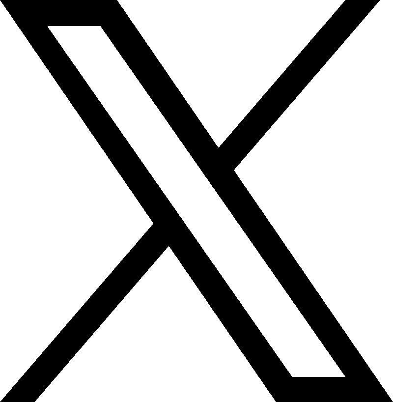 公式X
